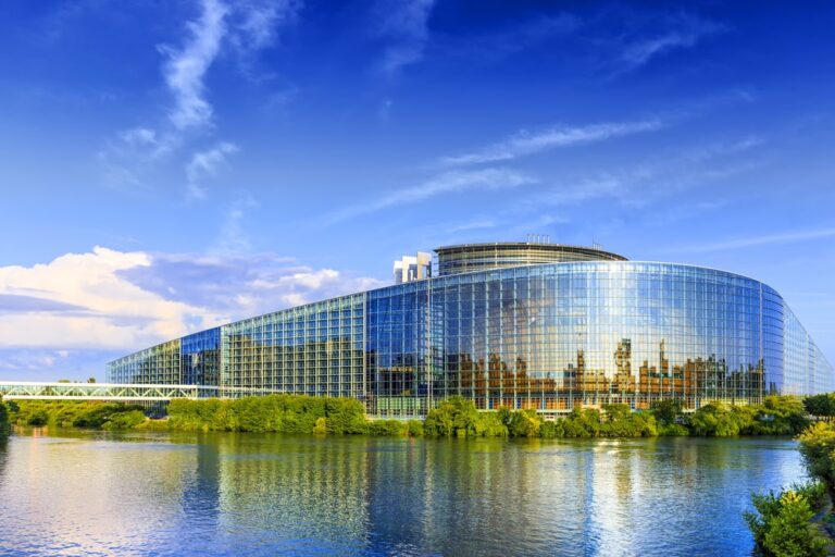 Le funzioni del Parlamento Europeo, la voce dei cittadini comunitari