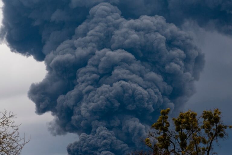 Le guerre devastano anche l’ambiente naturale