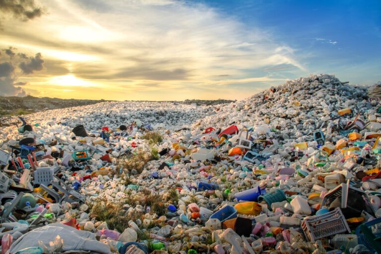 Le rocce di plastica, un nuovo allarme ecologico