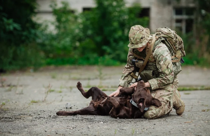 Longevità: il cane è il miglior alleato delle donne