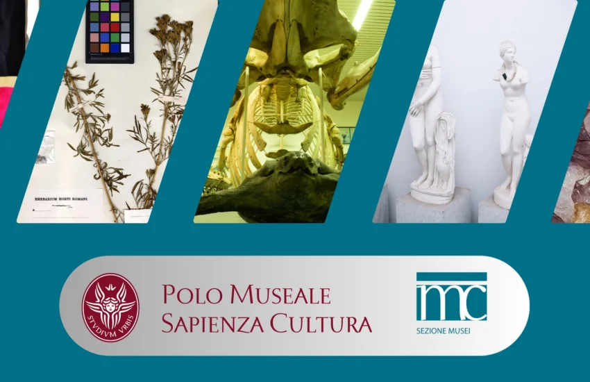 Maggio Museale alla Sapienza: arte, scienza e meraviglia|FOTO