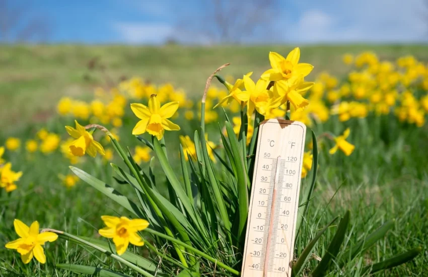 Marzo 2025: caldo record in tutta Europa
