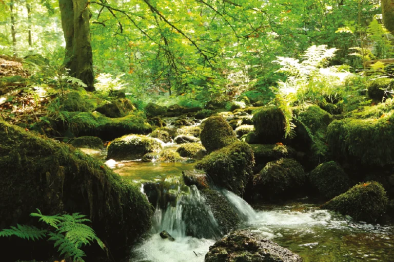 Acqua, vero capitale del domani