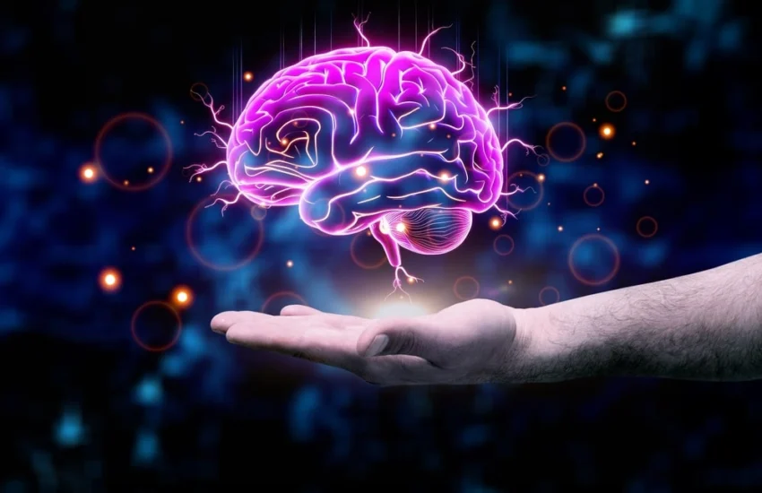 Memoria a lungo termine: il cervello decide cosa cancellare