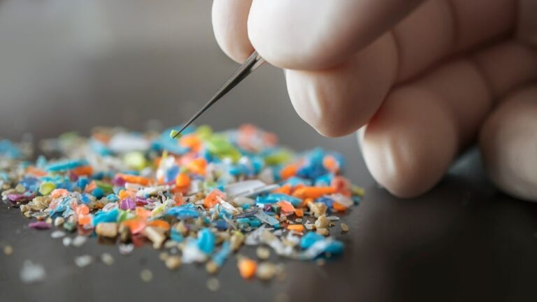Microplastiche, la campagna dei Medici per l’Ambiente per evitarle