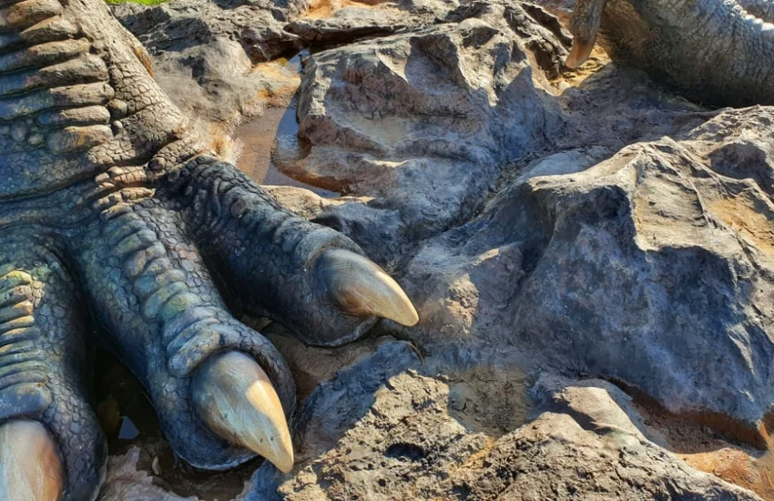 Migliaia di impronte di dinosauri scoperte nel Parco dello Stelvio