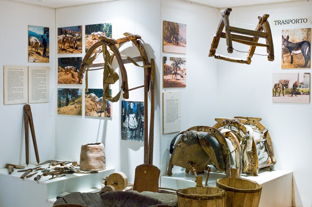 Museo della Civiltà Contadina