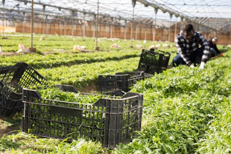Non solo lavoro nero, in Italia dilaga anche quello “grigio”