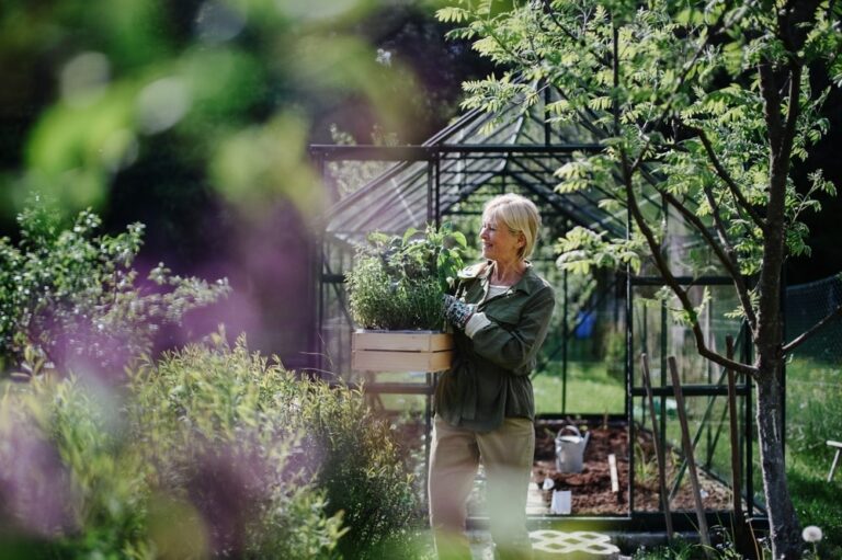 Orti urbani, alla riscoperta del valore della terra