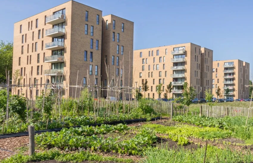 Orti urbani comunitari, un laboratorio di bellezza e sostenibilità