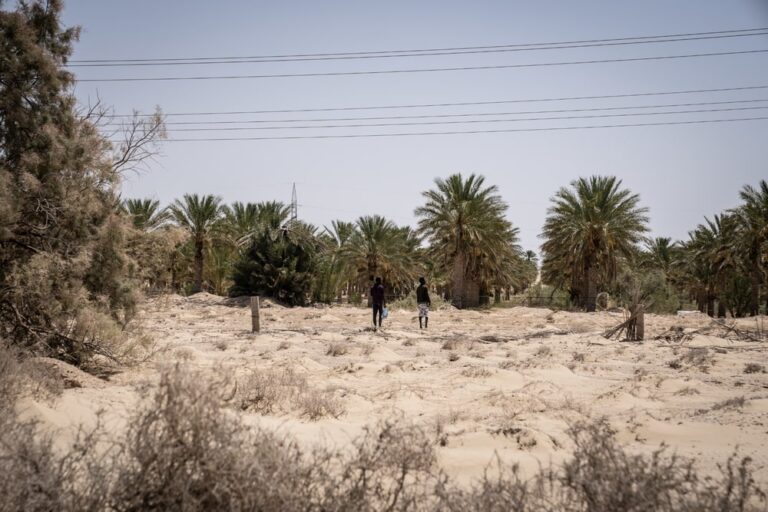 Partire dalla Tunisia: Lahzami, l’ingresso dal confine algerino