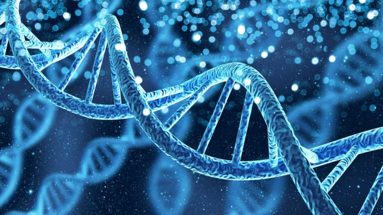 Alzheimer, l’indagine Usa sul farmaco più controverso