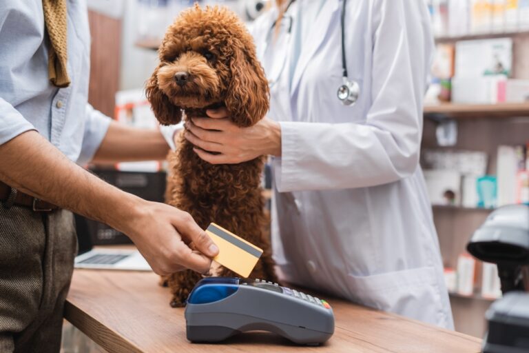 Pet economy, un mercato in crescita dalla salute alla tecnologia