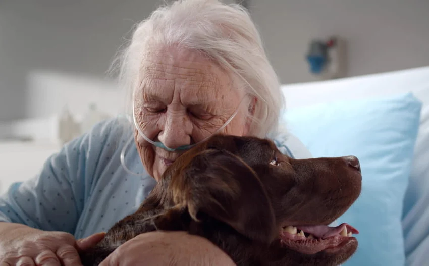 Pet therapy per anziani, benessere a quattro zampe