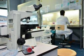 Ricerca, in Italia nel 2024 autorizzati 669 studi clinici: “Serve nuovo modello per ridefinire valore dati sanitari”
