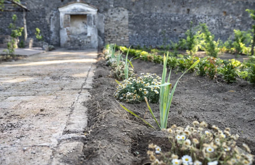 Rinasce a Pompei la Casa del Giardino di Ercole, dove storia e botanica si incontrano