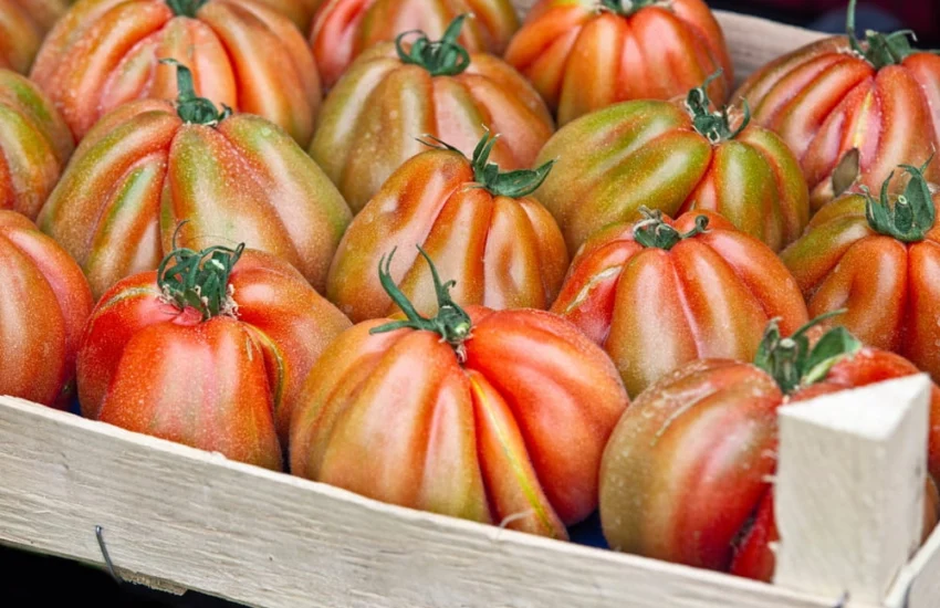 Rincaro prezzi: sui banchi del mercato pomodori fino al 32% in più