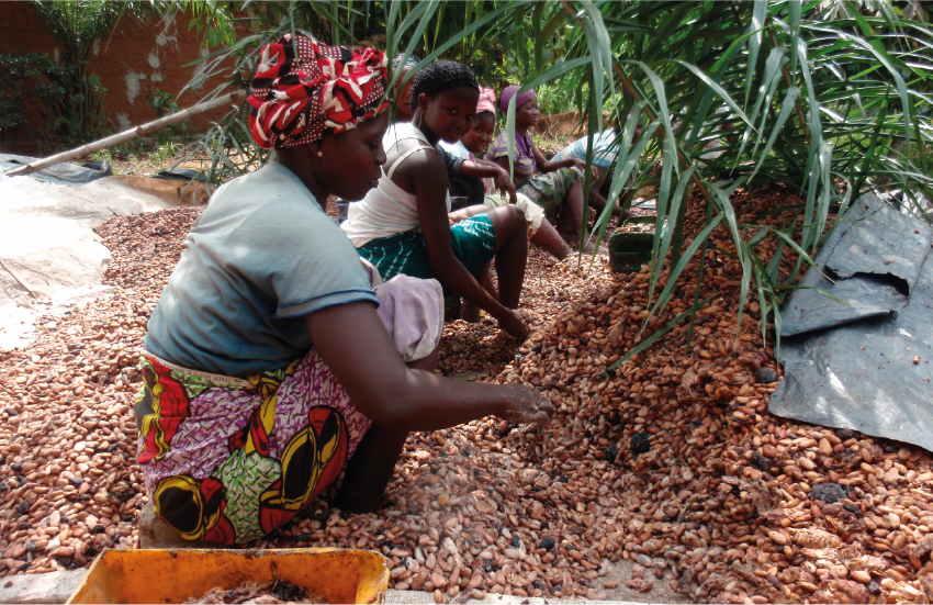 L’amaro prezzo del cacao. L’altalena dei mercati che travolge l’Africa e svuota le tavolette