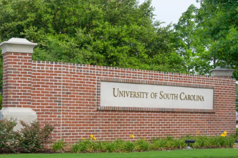 I ricordi cambiano il cervello, lo rivela l’Università del South Carolina