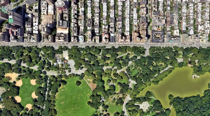 Verde urbano: più alberi nelle città per salvare oltre un milione di vite