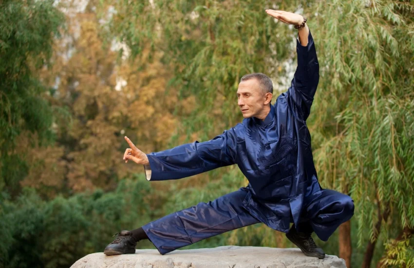 Wu Qin Xi: l’antica arte cinese che rallenta l’invecchiamento