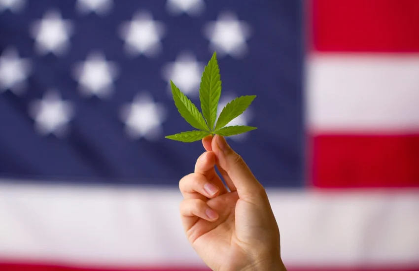 Cannabis, negli Stati Uniti cresce il consumo tra gli over 65