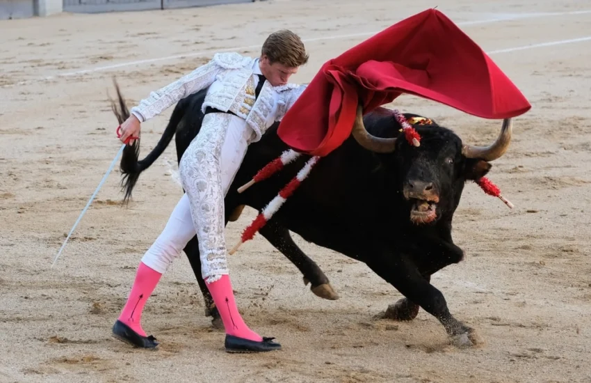 La corrida, cultura o crudeltà? La Spagna verso l’abolizione