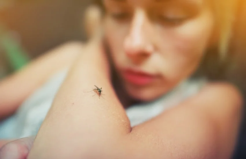 La Dengue in Italia, sintomi e prevenzione della malattia