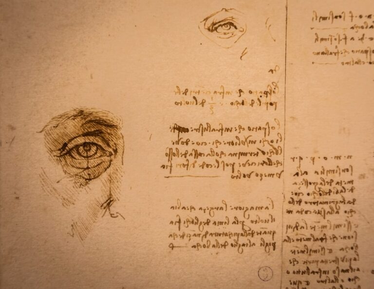Tracce del dna di Leonardo da Vinci su un disegno del ‘500