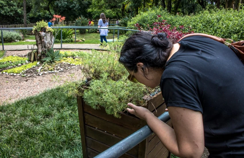 Bollate inaugura il primo giardino sensoriale, dove natura e riabilitazione si incontrano