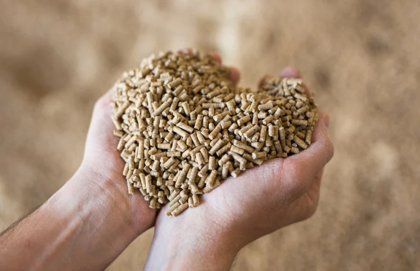 Alimentazione sana e sostenibile, un diritto per tutti