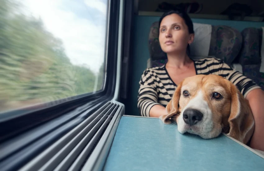 10 consigli per viaggiare in treno con Fido