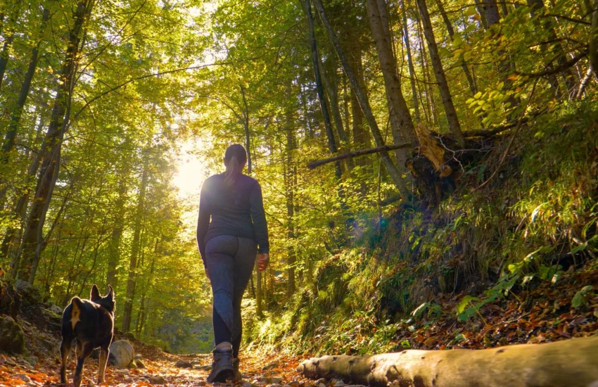 Vivere la natura migliora il benessere, soprattutto nei senior