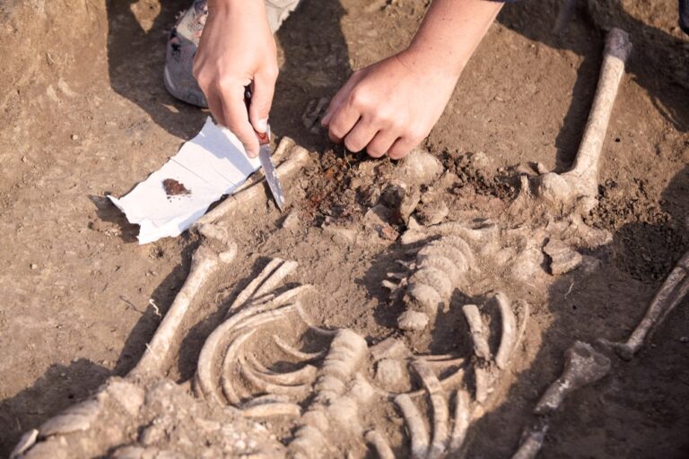 Scoperto il cannibalismo nell’Inghilterra preistorica