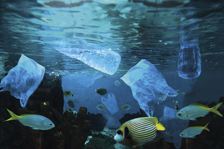 Non esiste futuro senza ecologia del mare
