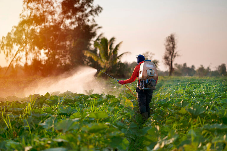 Per un sistema agricolo amico della salute