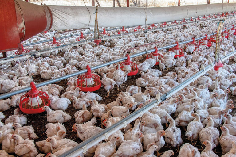 Antibiotico-resistenza: una bomba a orologeria per la salute globale