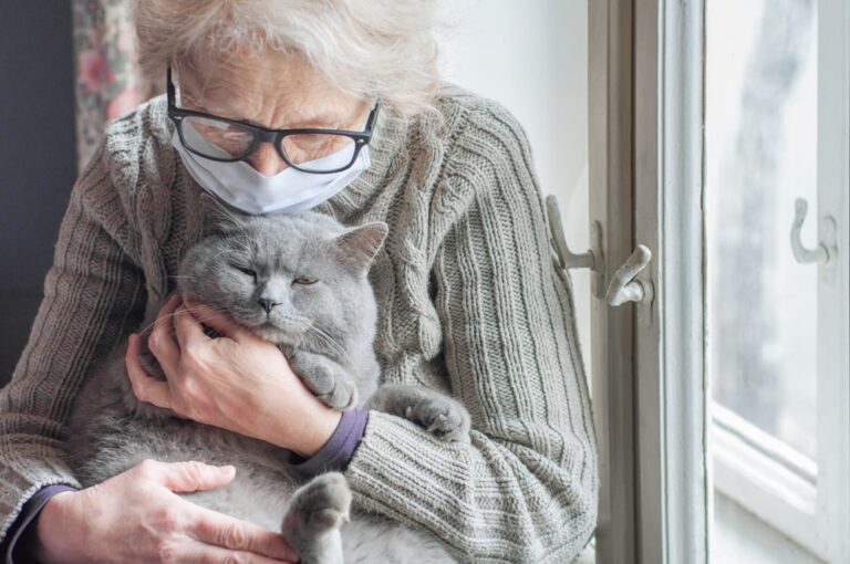 Senior e 4 zampe: un legame senza fine