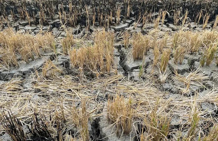 Dall’uragano Polo al picco di El Niño: perché il 2027 rischia di essere l’anno più caldo della storia
