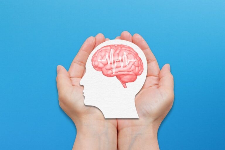 Lo sviluppo del cervello dura tutta la vita? Lo studio
