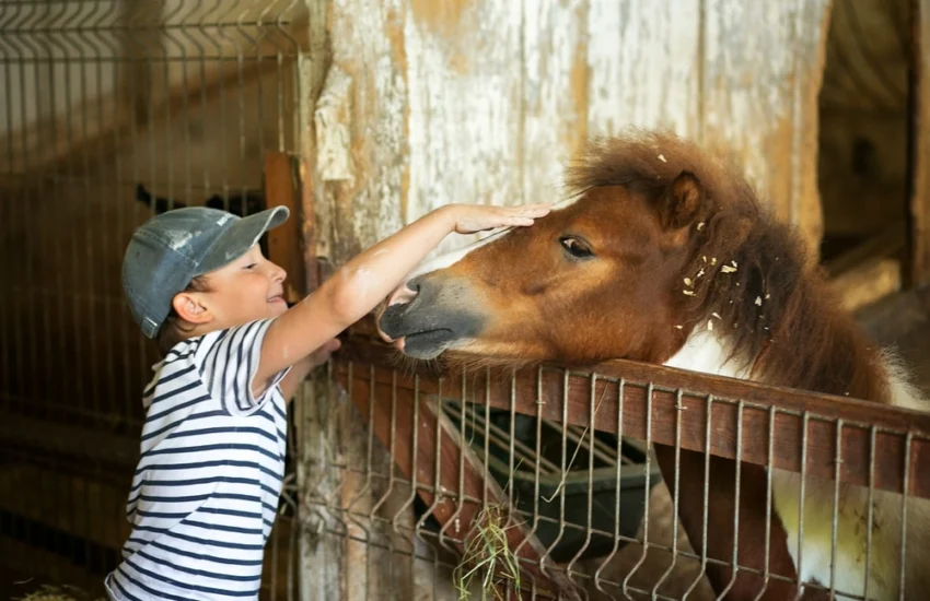 Biodiversità, l’interazione con gli animali fa bene ai bambini: l’esperimento a Bologna