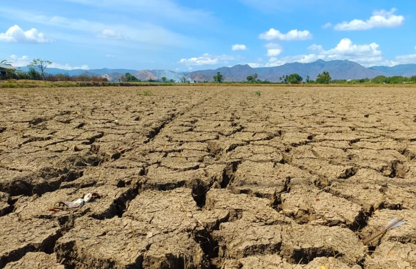 Clima: il 2024 è l’anno più caldo mai registrato