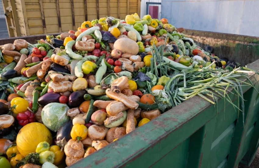 Spreco alimentare in Italia, Boomers più virtuosi. I dati del rapporto Waste Watcher 2026