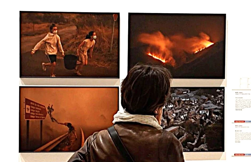 VIDEO | World Press Photo 2026, il mondo di oggi in mostra a Roma